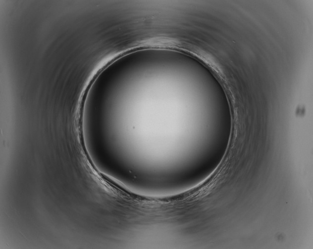 X0000098181248200804241214