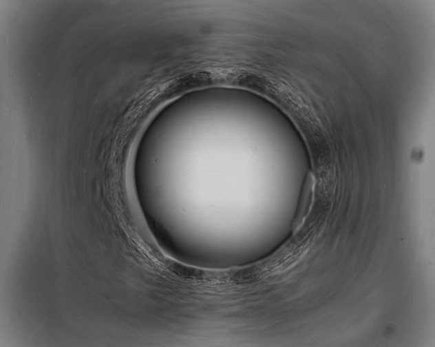 X0000098181249200804241213