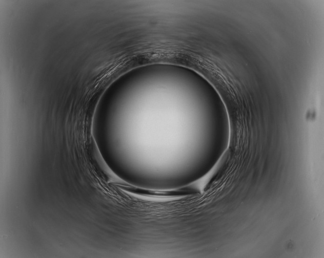 X0000098181250200804241213