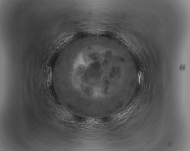 X0000098181251200804241213