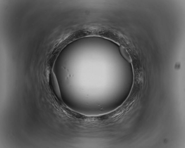 X0000098181253200804241213