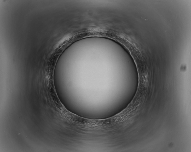 X0000098181254200804241213