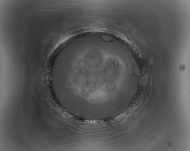 X0000098181255200804241213