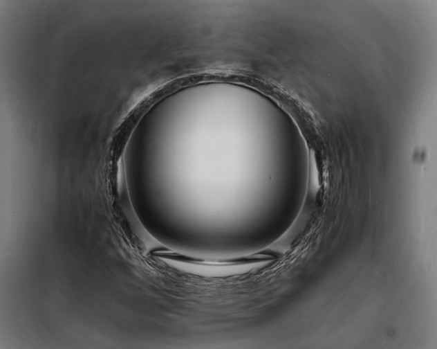 X0000098181256200804241213
