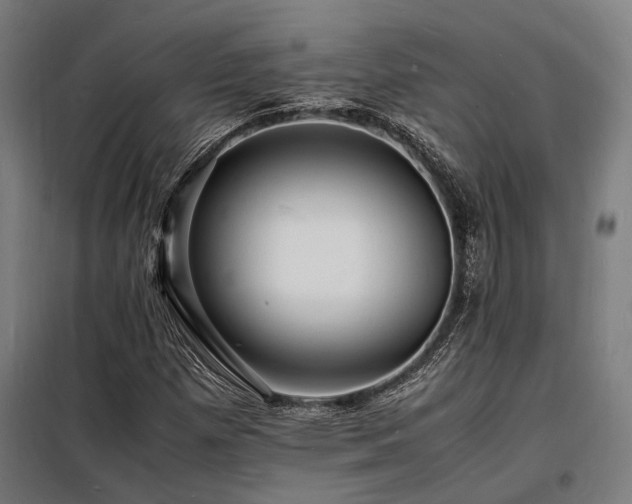 X0000098181257200804241213