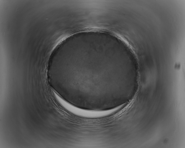 X0000098181259200804241213