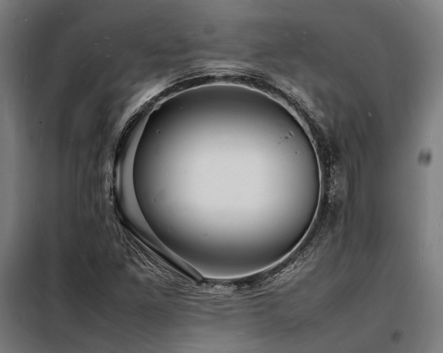 X0000098181261200804241213