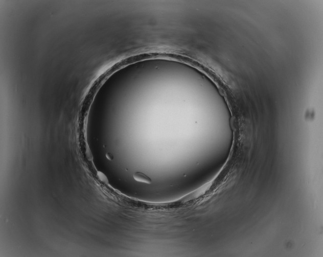 X0000098181264200804241213