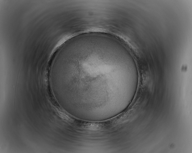 X0000098181266200804241213