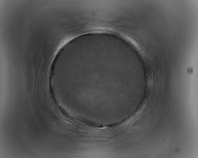 X0000098181267200804241213