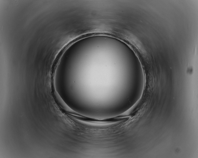 X0000098181268200804241213