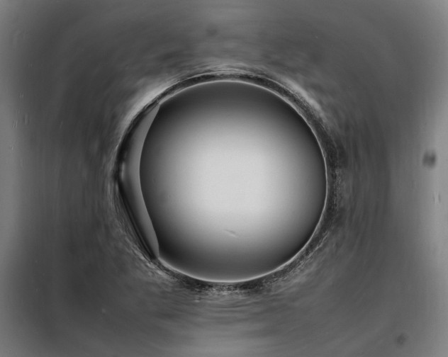 X0000098181269200804241213