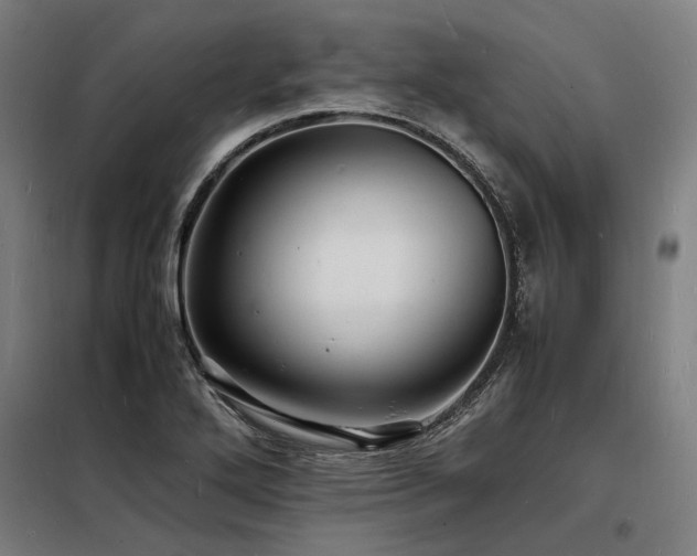 X0000098181272200804241213
