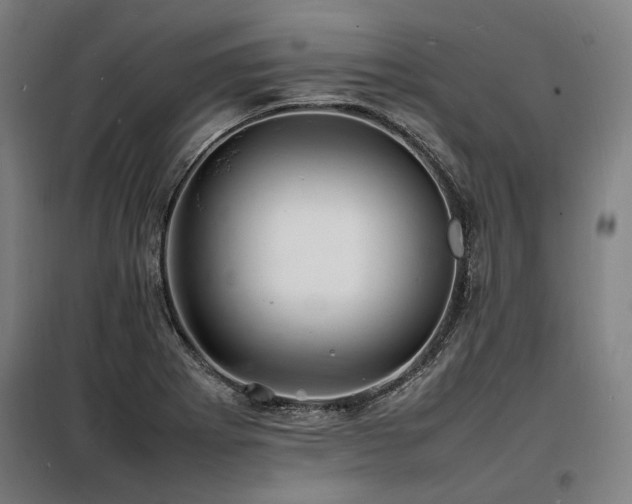 X0000098181273200804241213