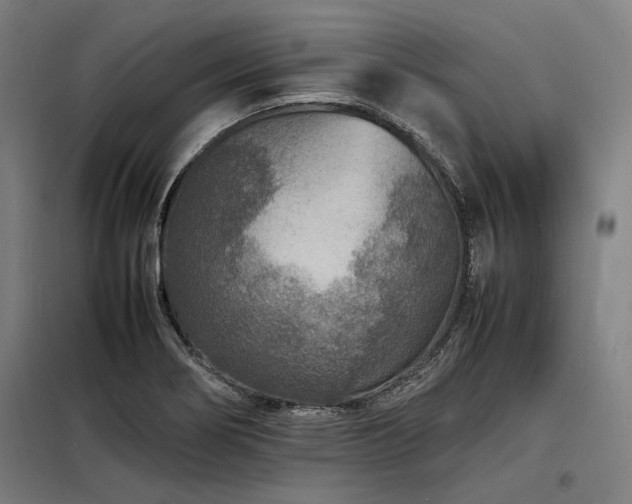 X0000098181274200804241213