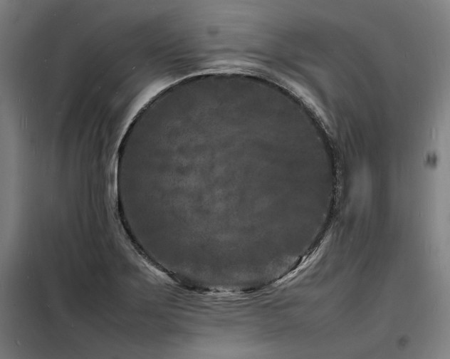 X0000098181275200804241213