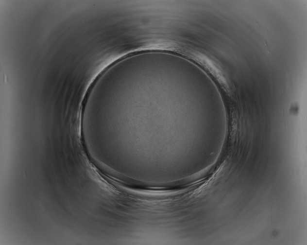 X0000098181276200804241213