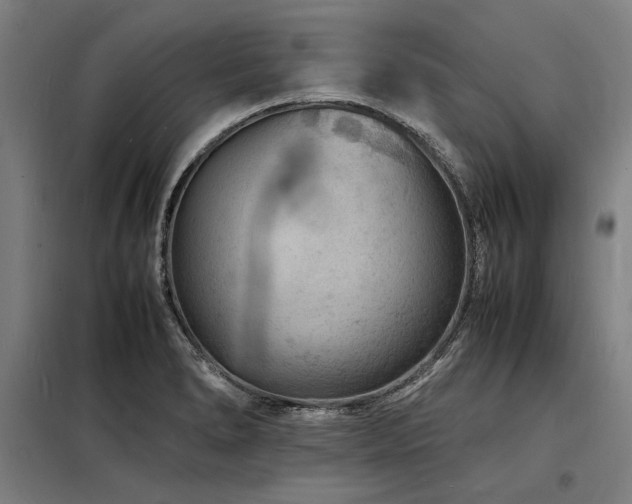 X0000098181278200804241213