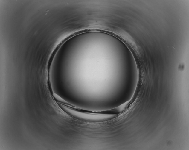 X0000098181280200804241213