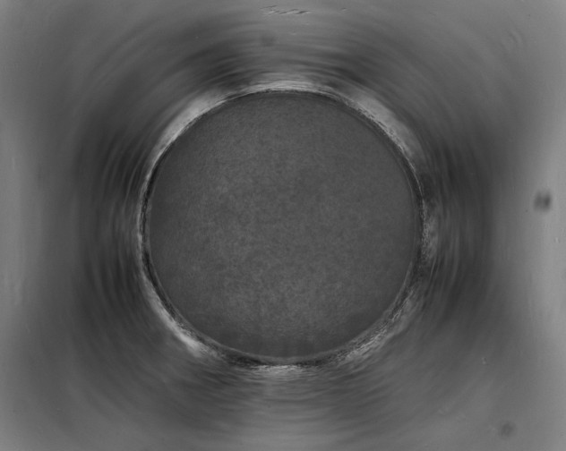 X0000098181282200804241213