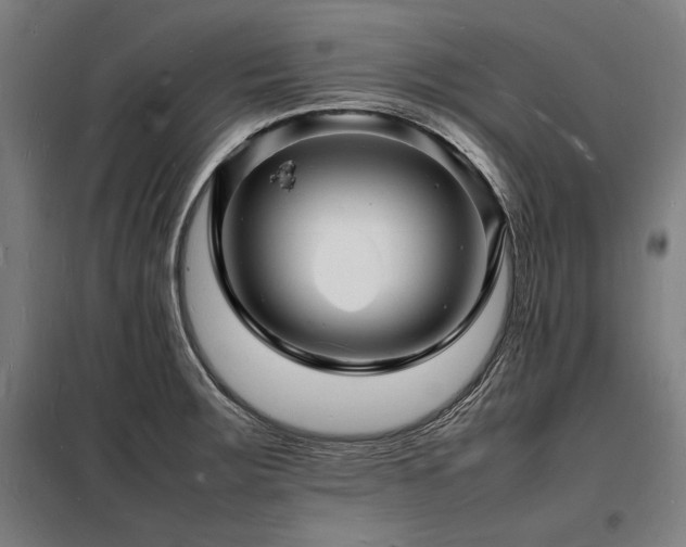 X0000098181283200804241213