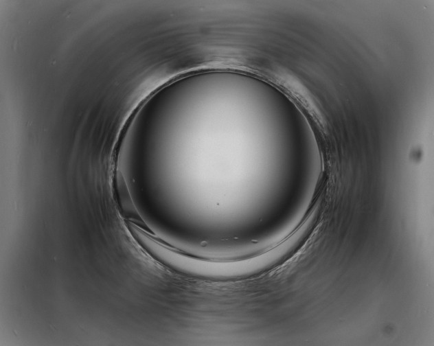 X0000098181284200804241213