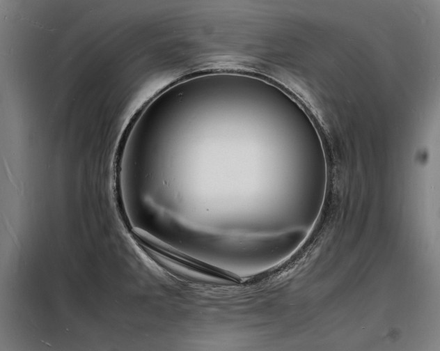 X0000098181285200804241213