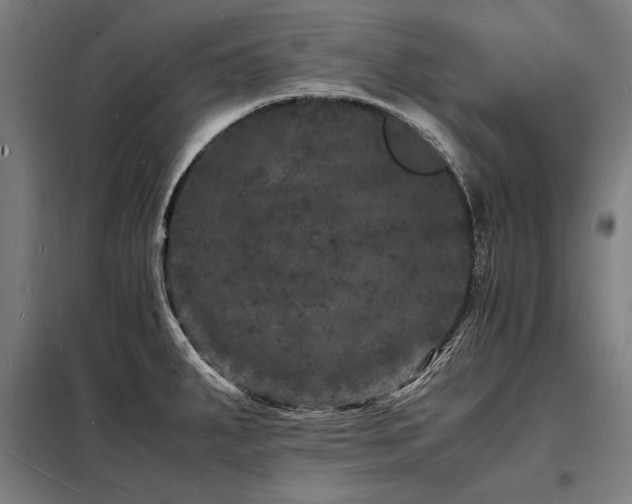 X0000098181287200804241213