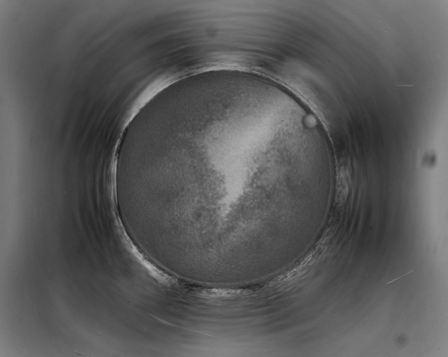 X0000098181290200804241213