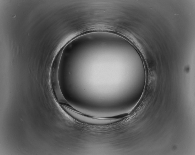 X0000098181293200804241213