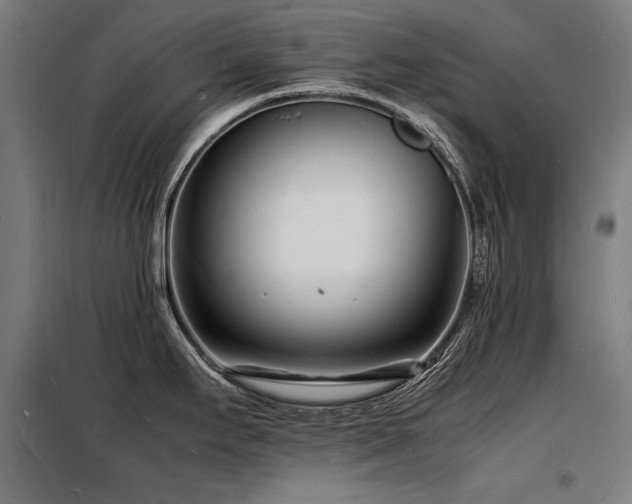 X0000098181295200804241213