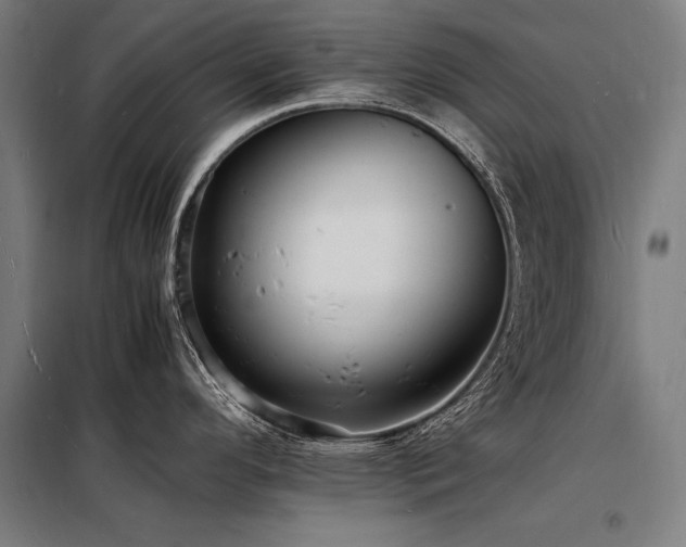 X0000098181296200804241213