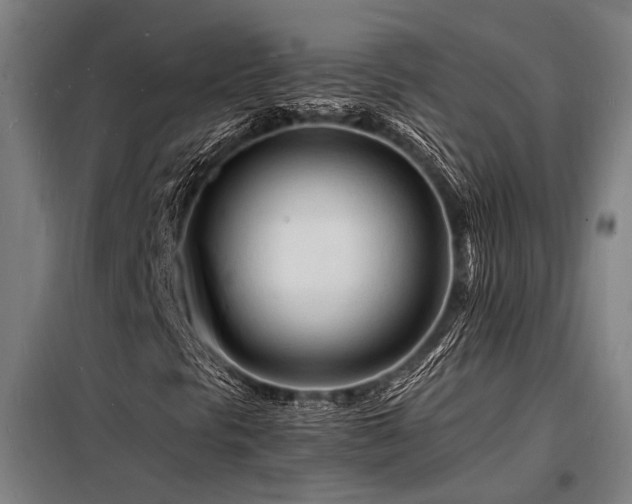X0000098181297200804241212
