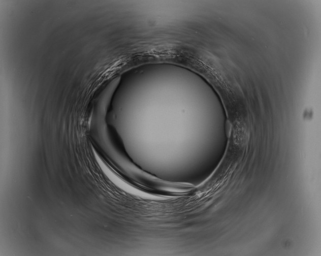 X0000098181298200804241212