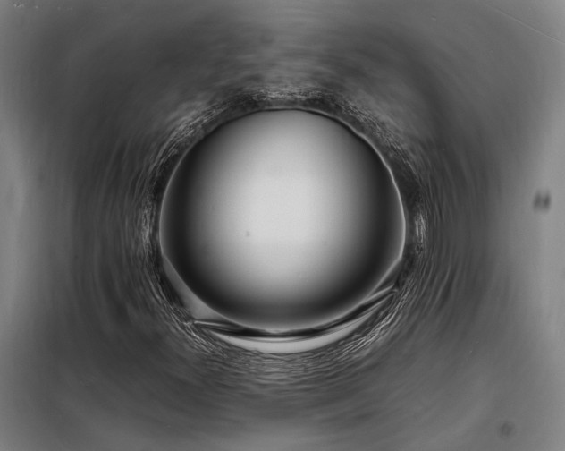 X0000098181300200804241212