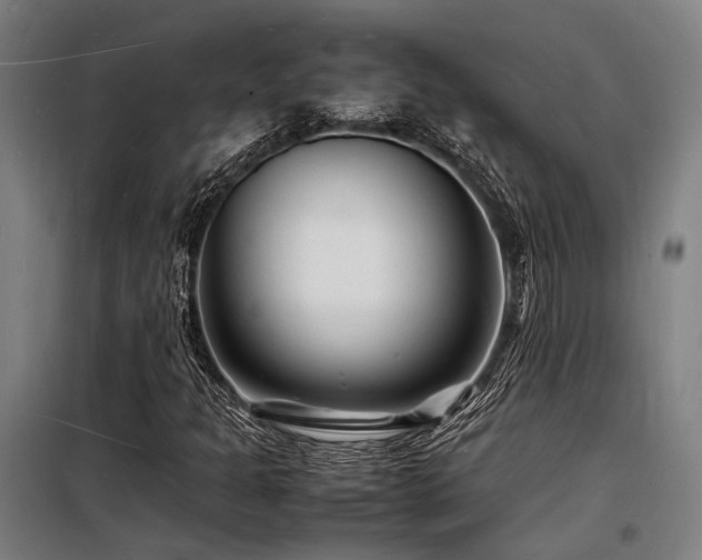 X0000098181301200804241212