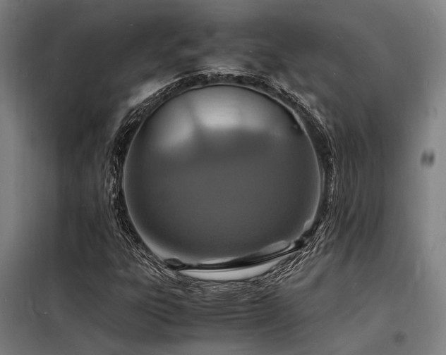 X0000098181303200804241212