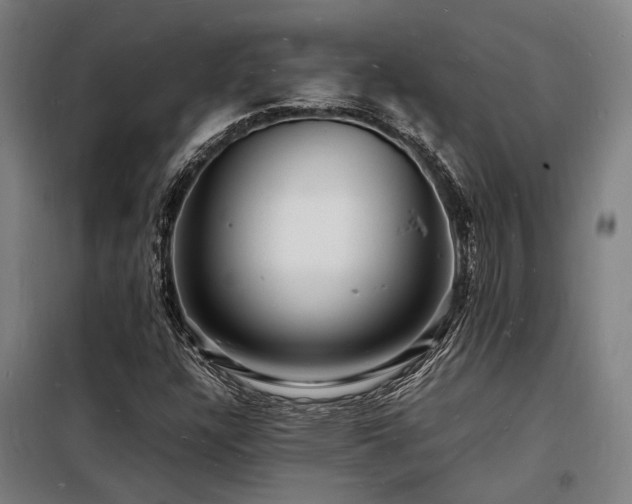 X0000098181304200804241212