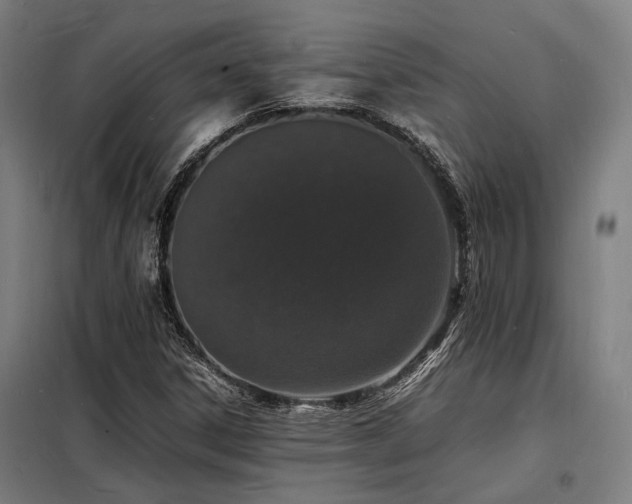 X0000098181306200804241212