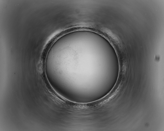 X0000098181310200804241212