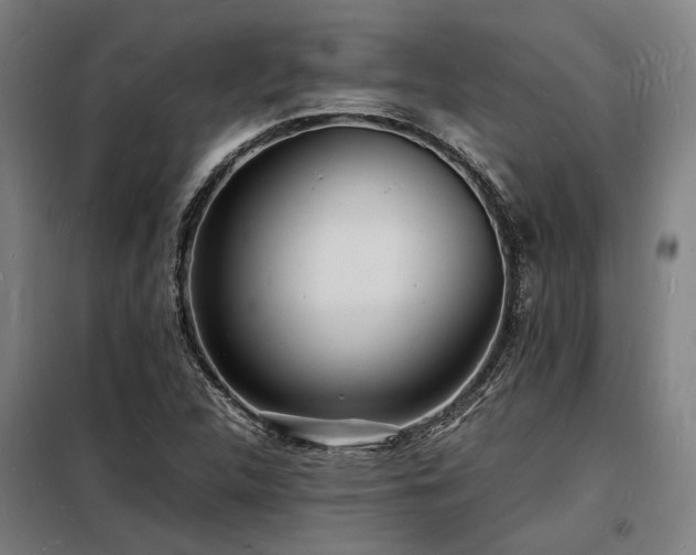 X0000098181312200804241212