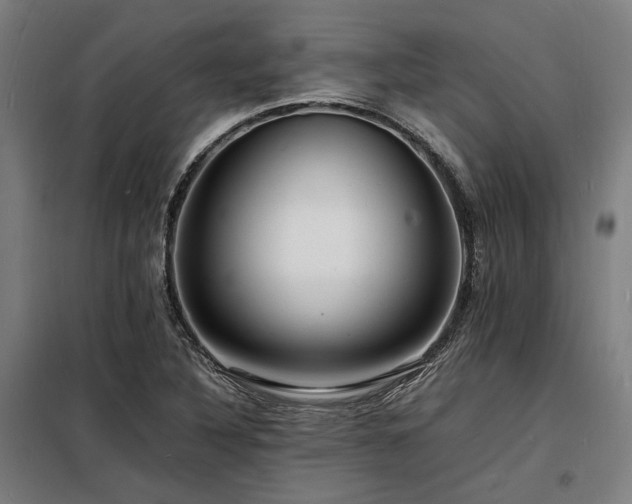 X0000098181316200804241212