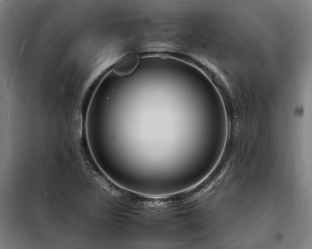 X0000098181317200804241212