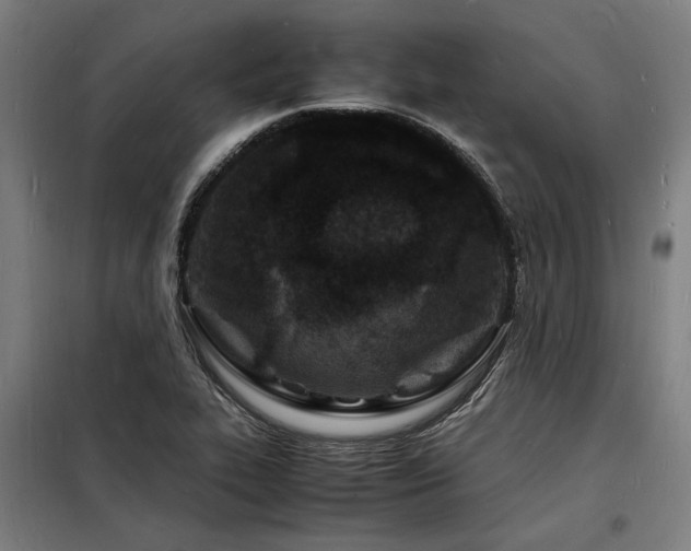 X0000098181319200804241212