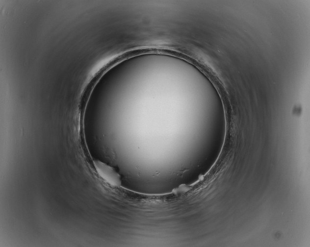 X0000098181320200804241212