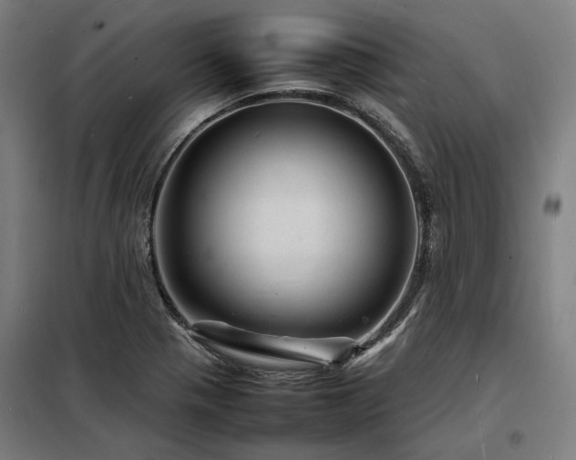 X0000098181321200804241212