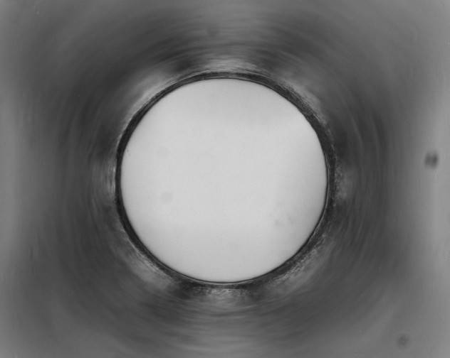 X0000098181322200804241212