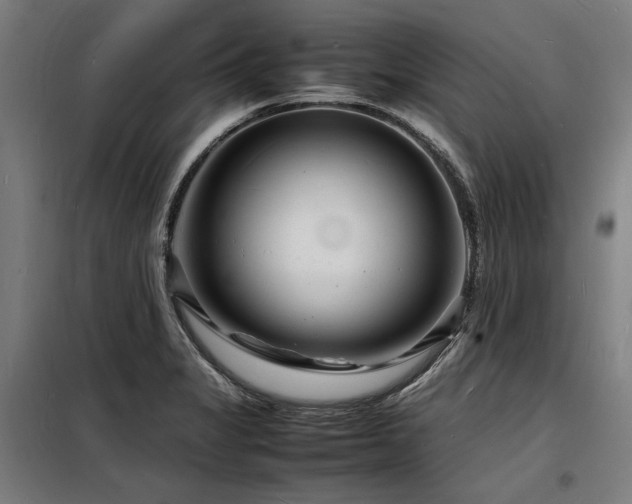 X0000098181325200804241212