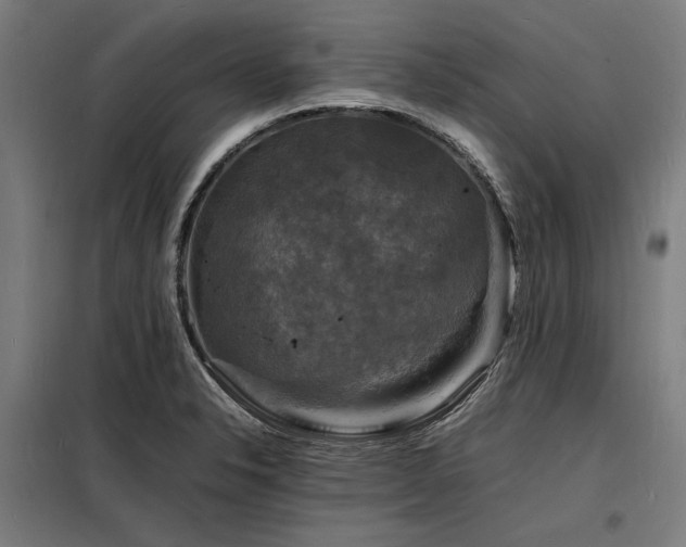 X0000098181326200804241212