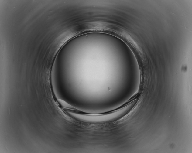 X0000098181329200804241212